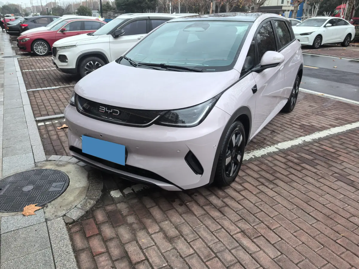 2025 BYD Dolphin BEV 45.12KWH