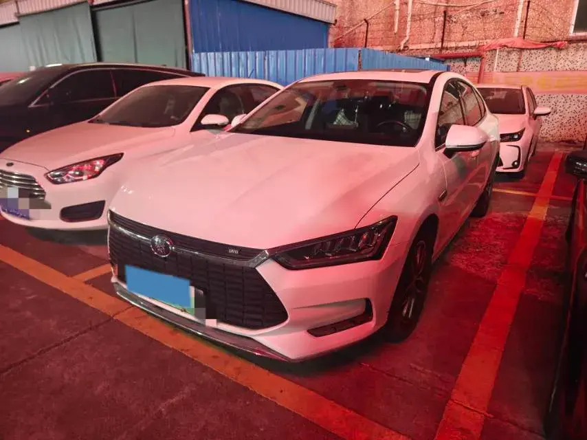 2019 BYD Qin Pro BEV 53.1KWH
