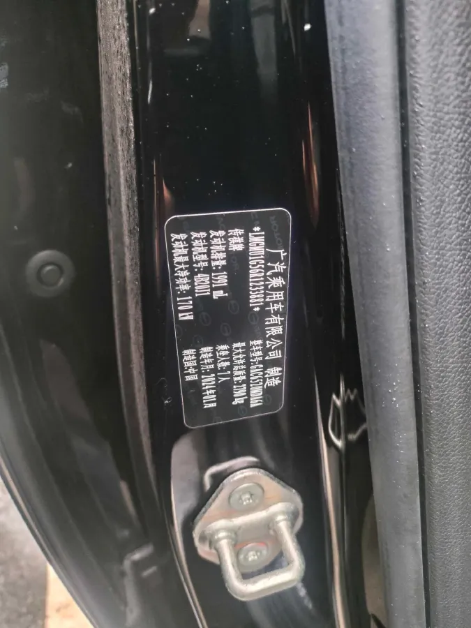 2024 GAC Trumpchi M8 2.0T 252HP L4 8AT,autocango,china used car exporter,china ev exporter,chinese used car exporter,chinese used ev exporter