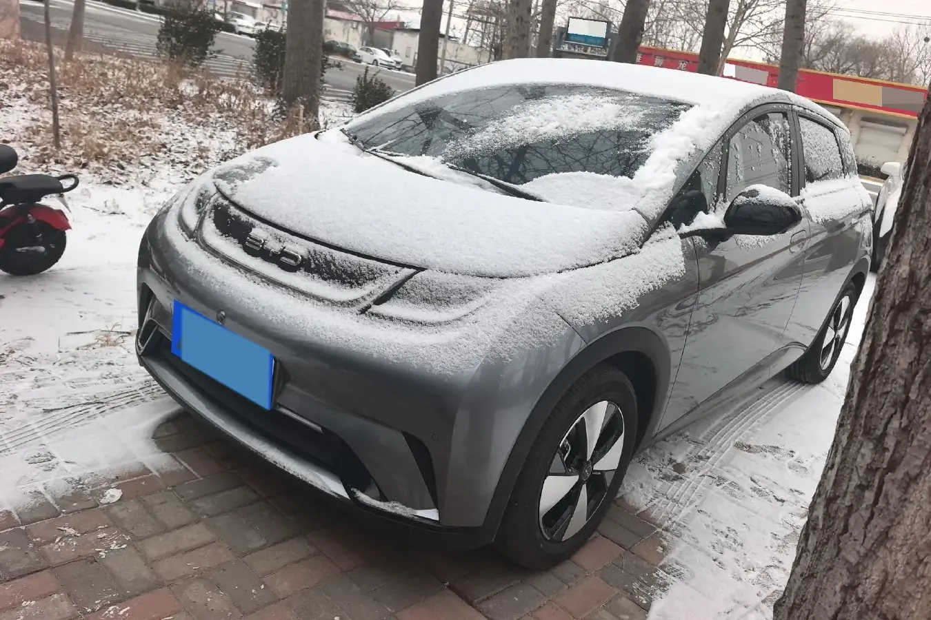 2023 BYD Dolphin BEV 44.928KWH