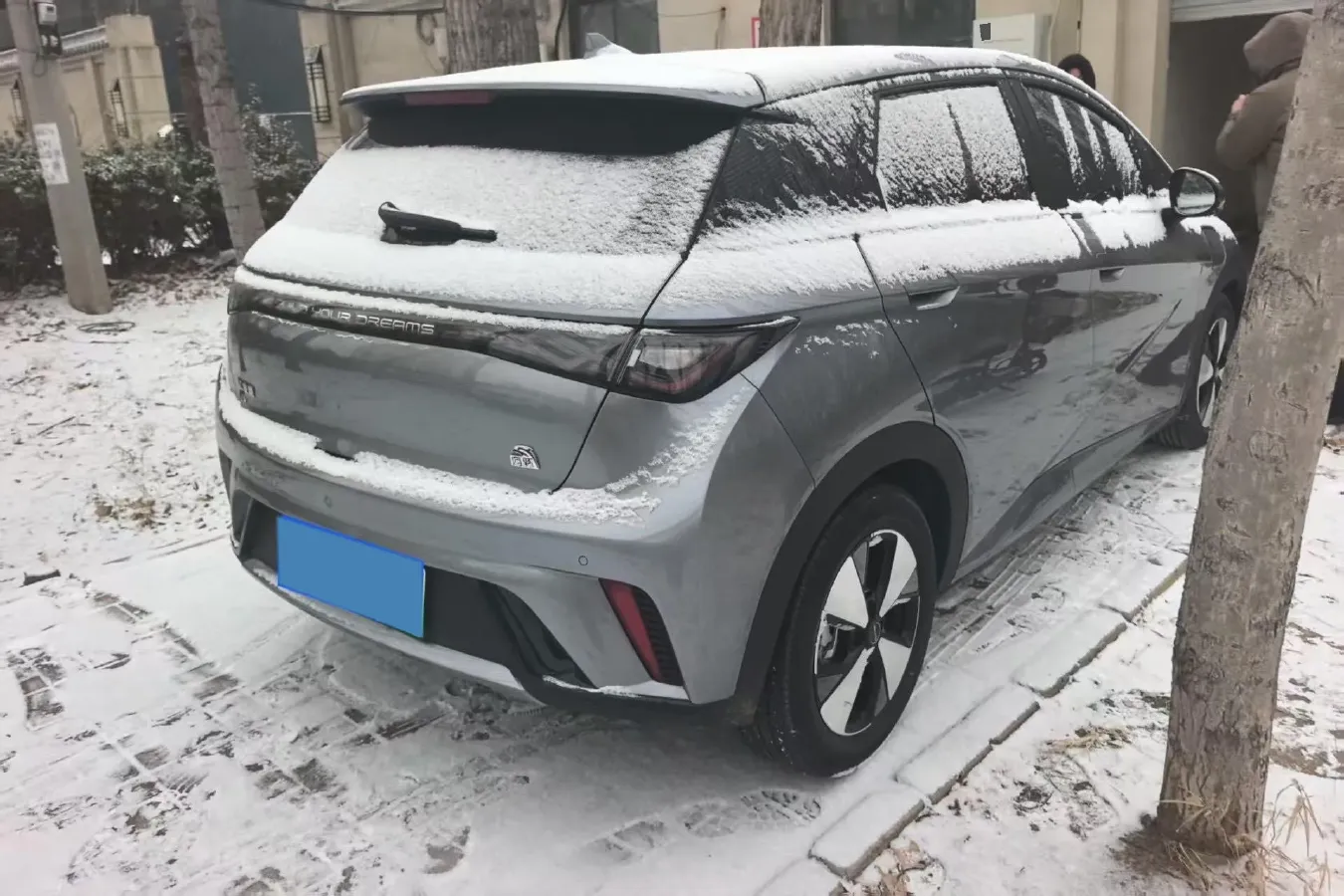 2023 BYD Dolphin BEV 44.928KWH,autocango,china used car exporter,china ev exporter,chinese used car exporter,chinese used ev exporter