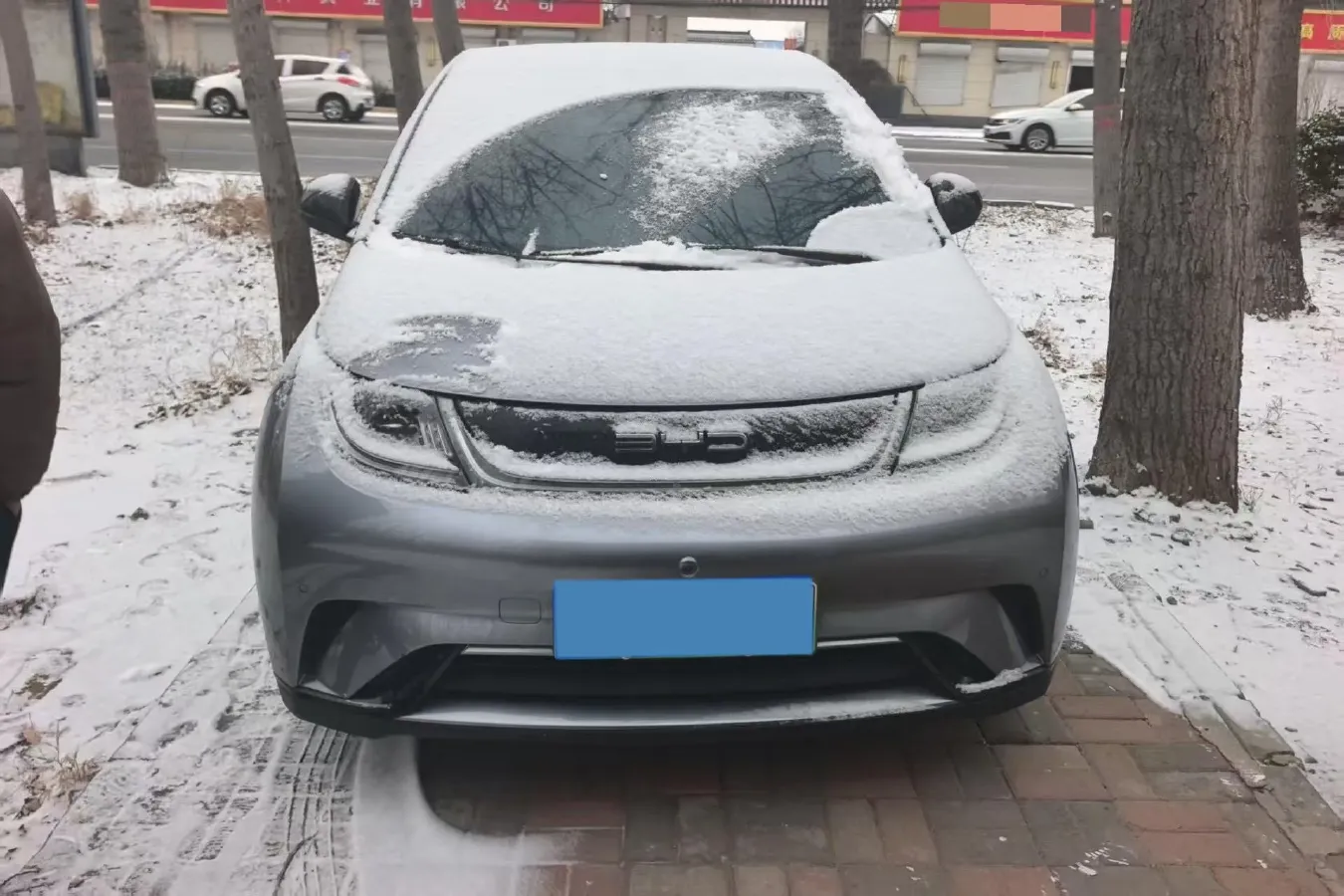 2023 BYD Dolphin BEV 44.928KWH,autocango,china used car exporter,china ev exporter,chinese used car exporter,chinese used ev exporter