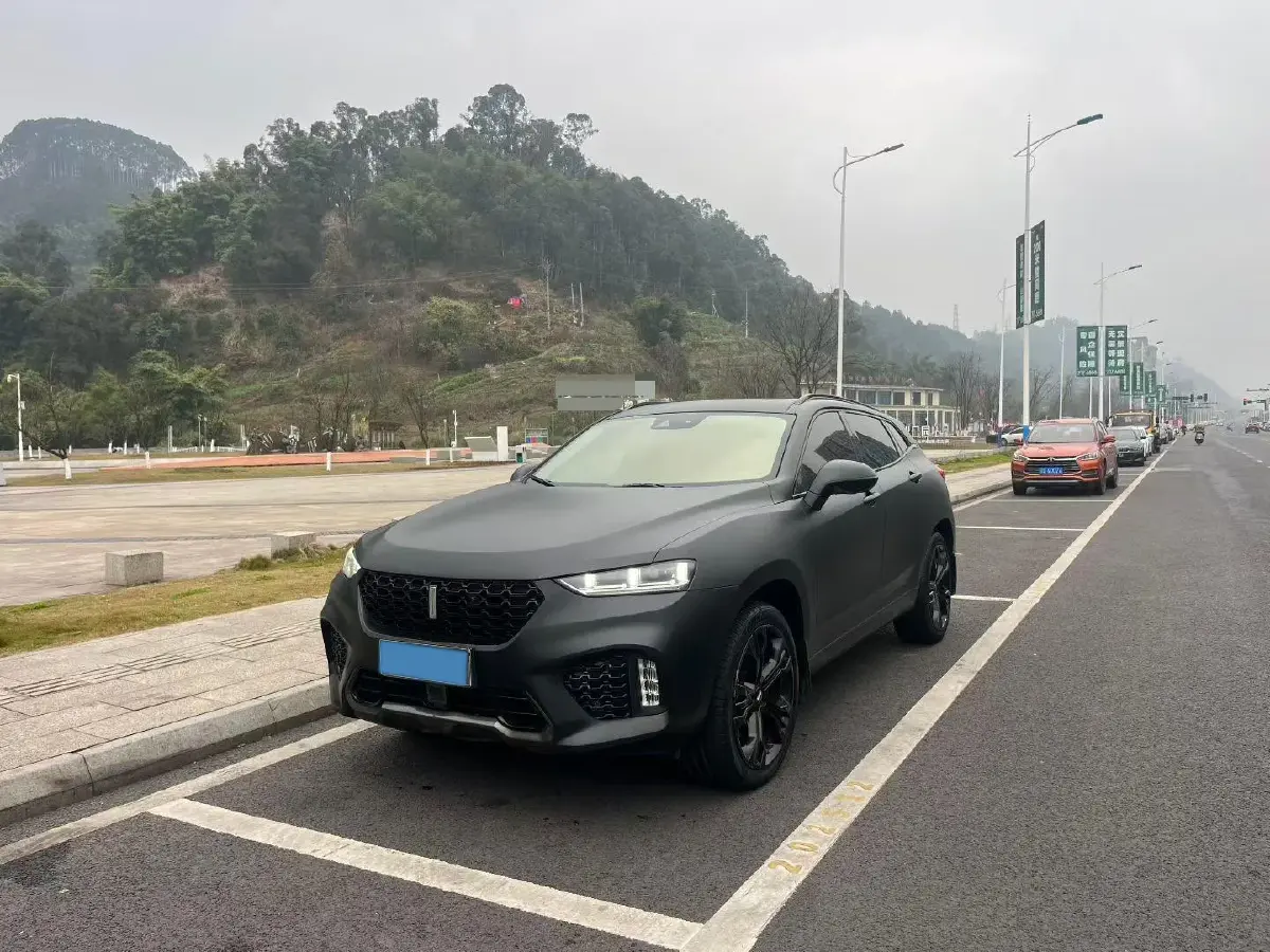 2019 WEY VV7 2.0T 234HP L4 7DCT