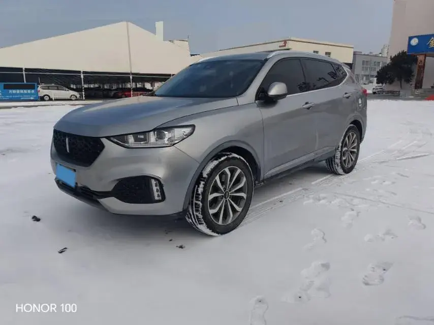 2018 WEY VV6 2.0T 197HP L4 7DCT