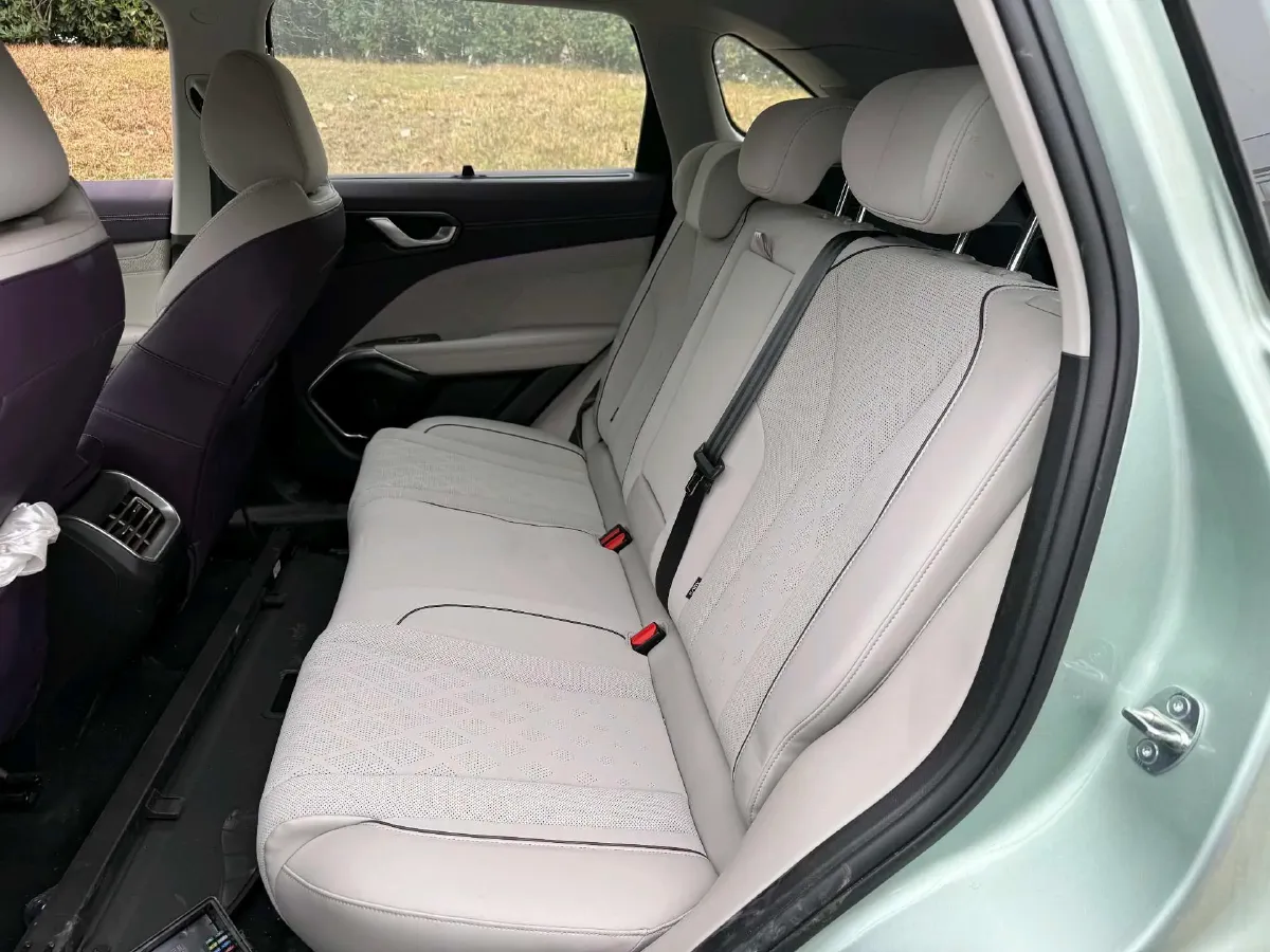 2022 WEY Latte DHT 1.5T 156HP L4 2DHT Hybrid,autocango,china used car exporter,china ev exporter,chinese used car exporter,chinese used ev exporter