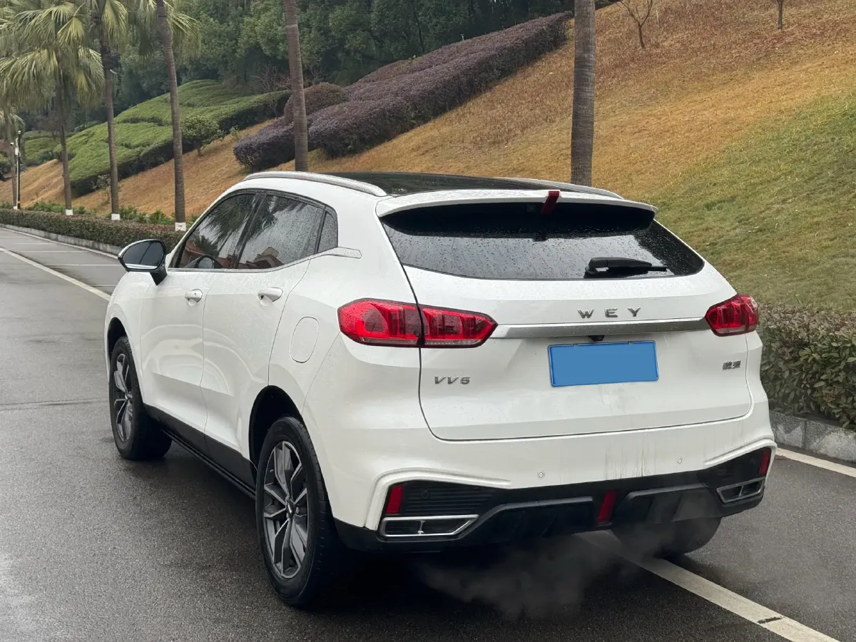 2020 WEY VV5 1.5T 171HP L4 7DCT,autocango,china used car exporter,china ev exporter,chinese used car exporter,chinese used ev exporter