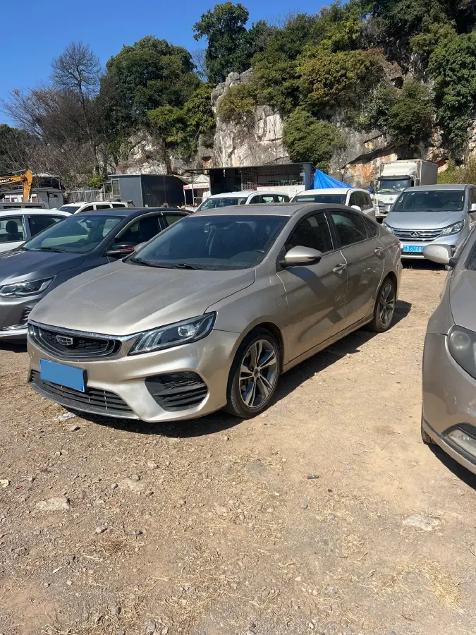 2019 Geely Binray 1.0T 136HP L3 6DCT