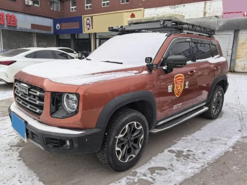 2021 Haval Dargo 2.0T 211HP L4 7DCT,autocango,china used car exporter,china ev exporter,chinese used car exporter,chinese used ev exporter