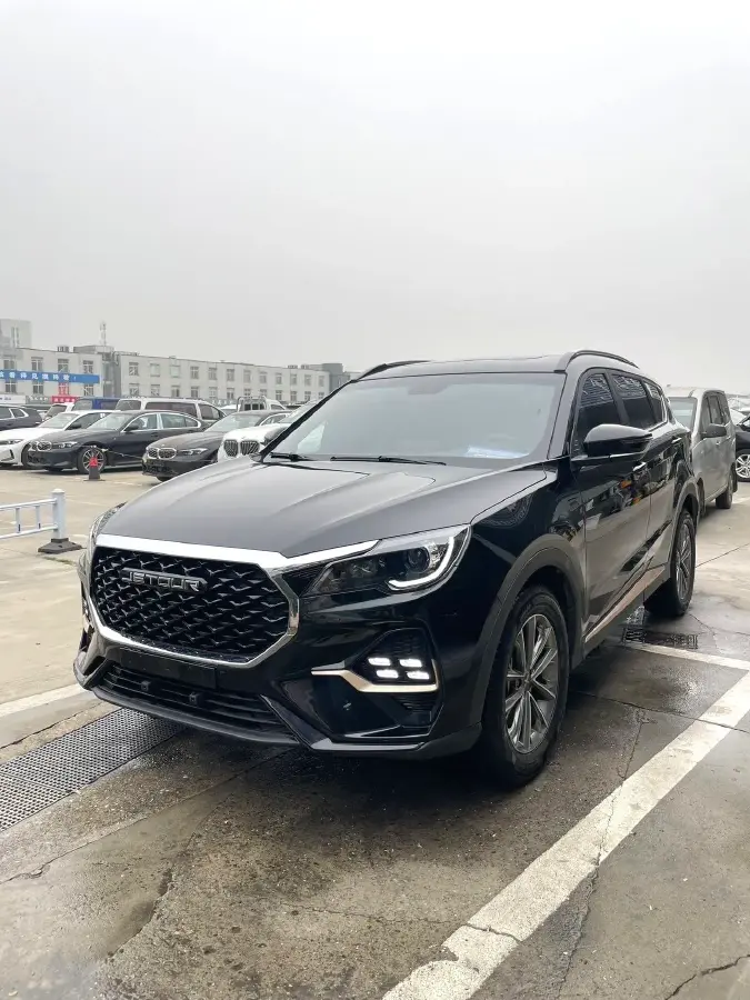 2025 Fulwin FulwinT8 1.5L 102HP L4 1DHT PHEV