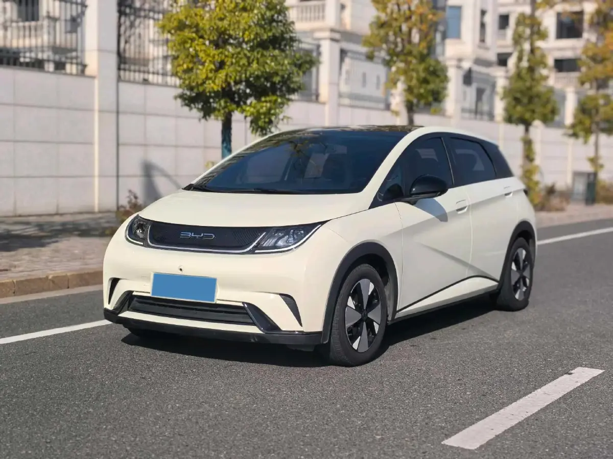 2023 BYD Dolphin BEV 44.928KWH