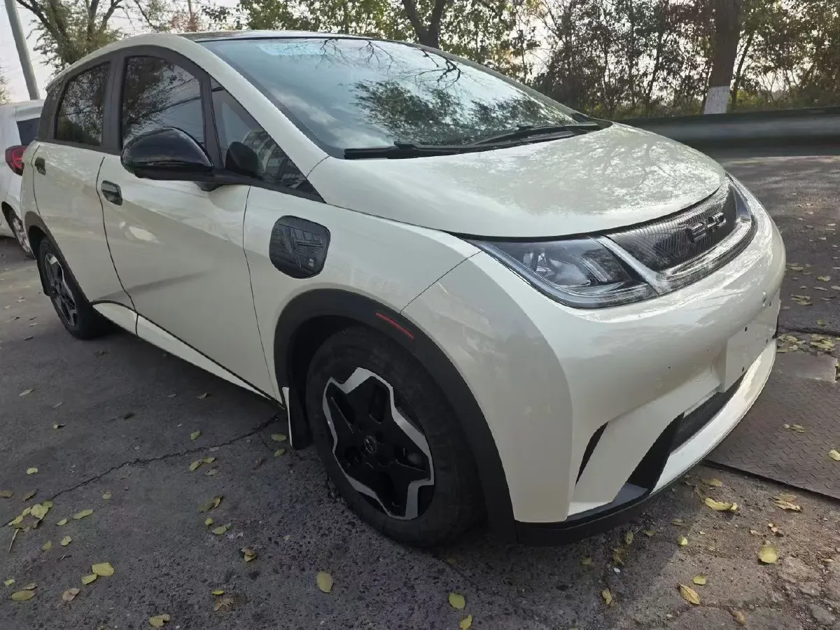 2021 BYD Yuan Pro BEV 50.1KWH,autocango,china used car exporter,china ev exporter,chinese used car exporter,chinese used ev exporter