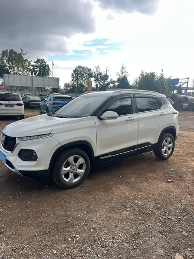 2019 BaoJun 730 1.5L 105HP L4 6MT