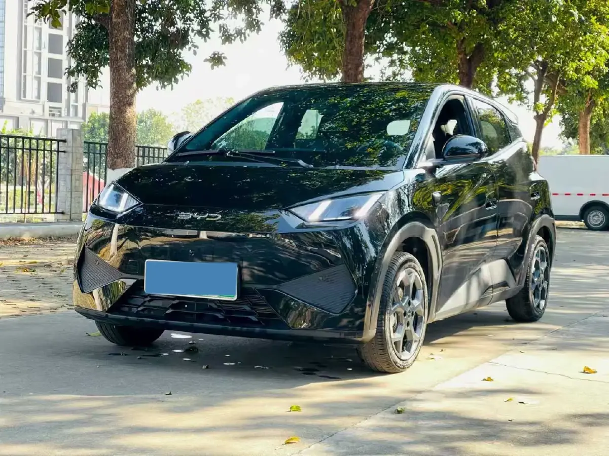 2025 BYD Seagull BEV 38.88KWH