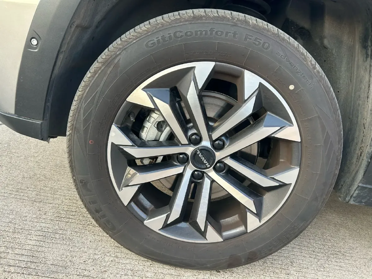 2023 Haval Dargo PLUS 2.0T 238HP L4 9DCT,autocango,china used car exporter,china ev exporter,chinese used car exporter,chinese used ev exporter