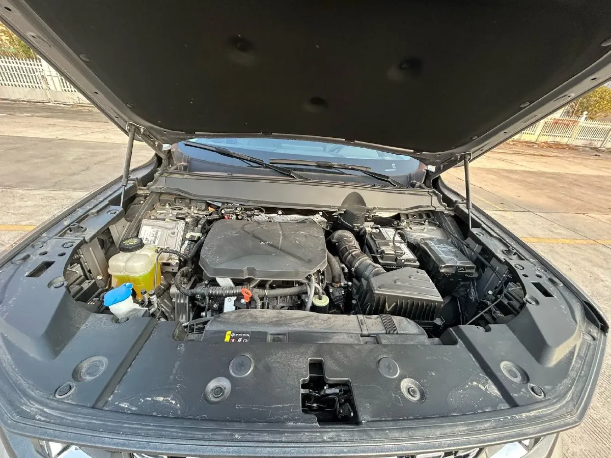 2023 Haval Dargo PLUS 2.0T 238HP L4 9DCT,autocango,china used car exporter,china ev exporter,chinese used car exporter,chinese used ev exporter