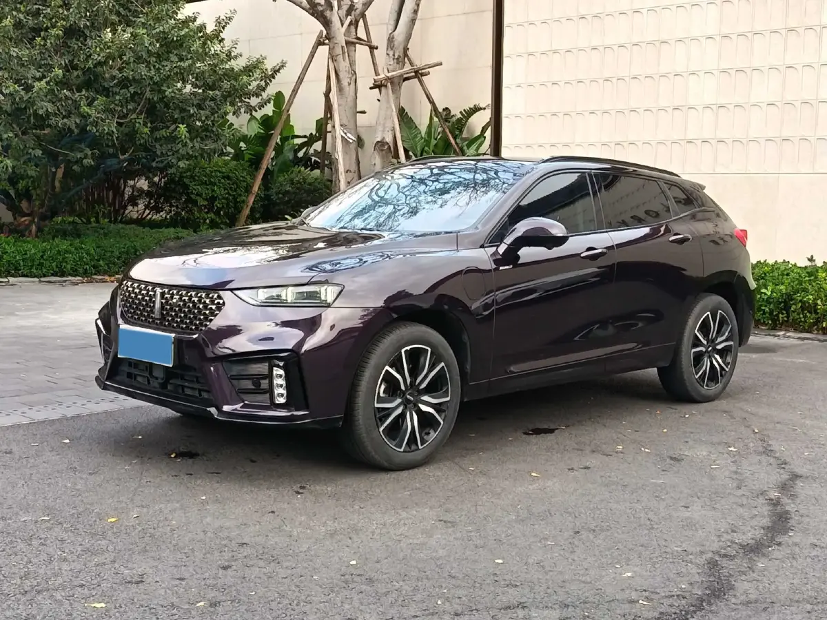 2020 WEY VV7 2.0T 227HP L4 7DCT PHEV