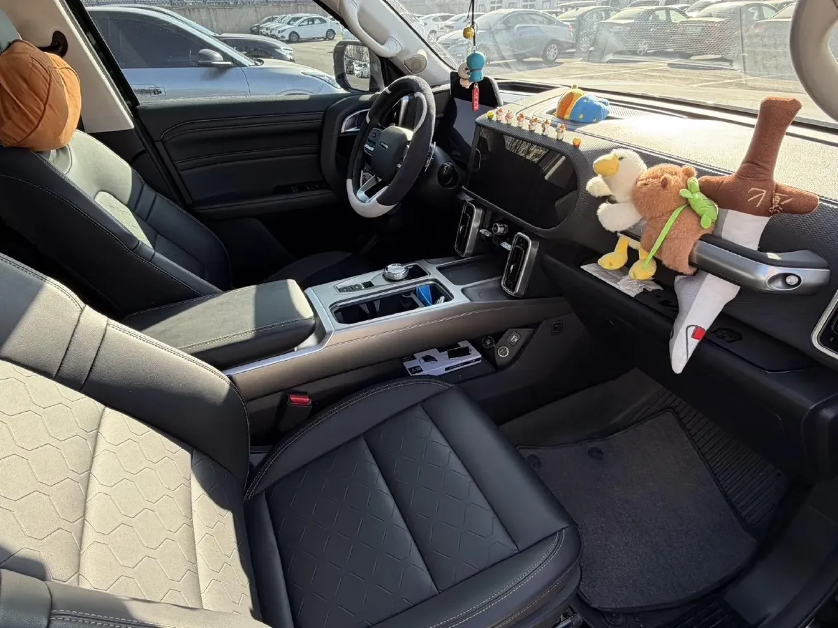 2024 Haval Dargo 2.0T 238HP L4 9DCT,autocango,china used car exporter,china ev exporter,chinese used car exporter,chinese used ev exporter