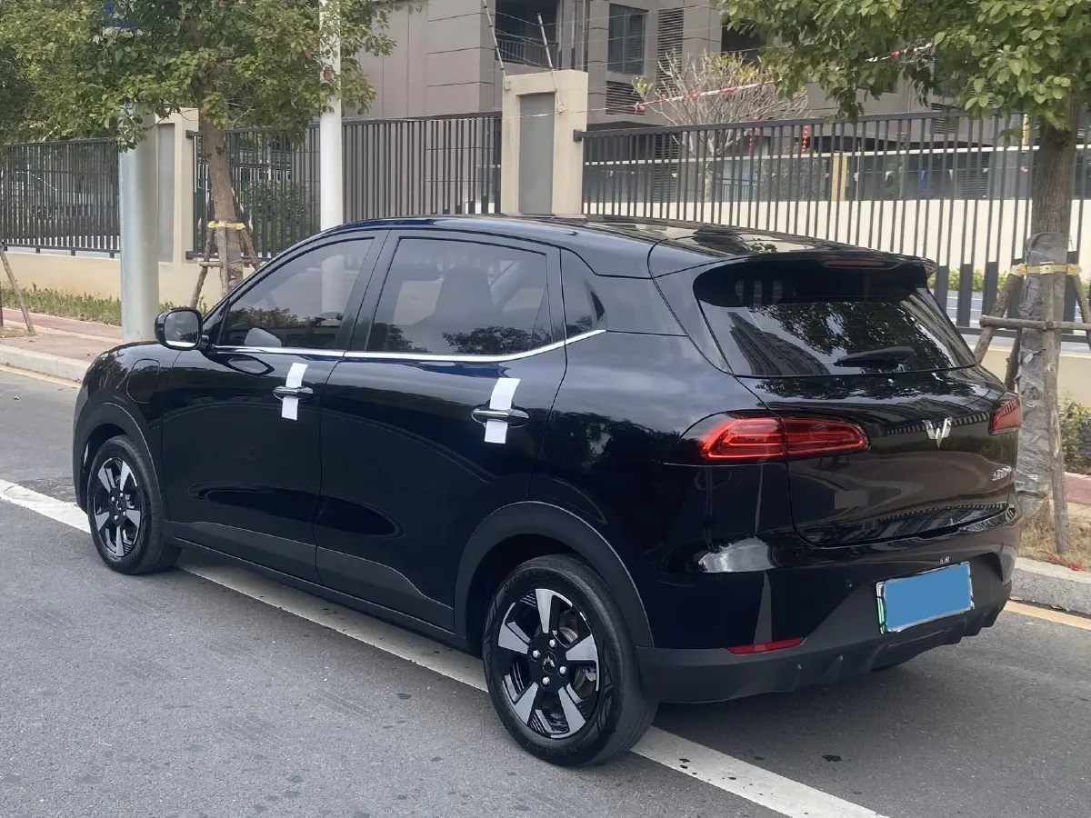 2024 WuLing BinGuoPLUS BEV 50.6KWH,autocango,china used car exporter,china ev exporter,chinese used car exporter,chinese used ev exporter