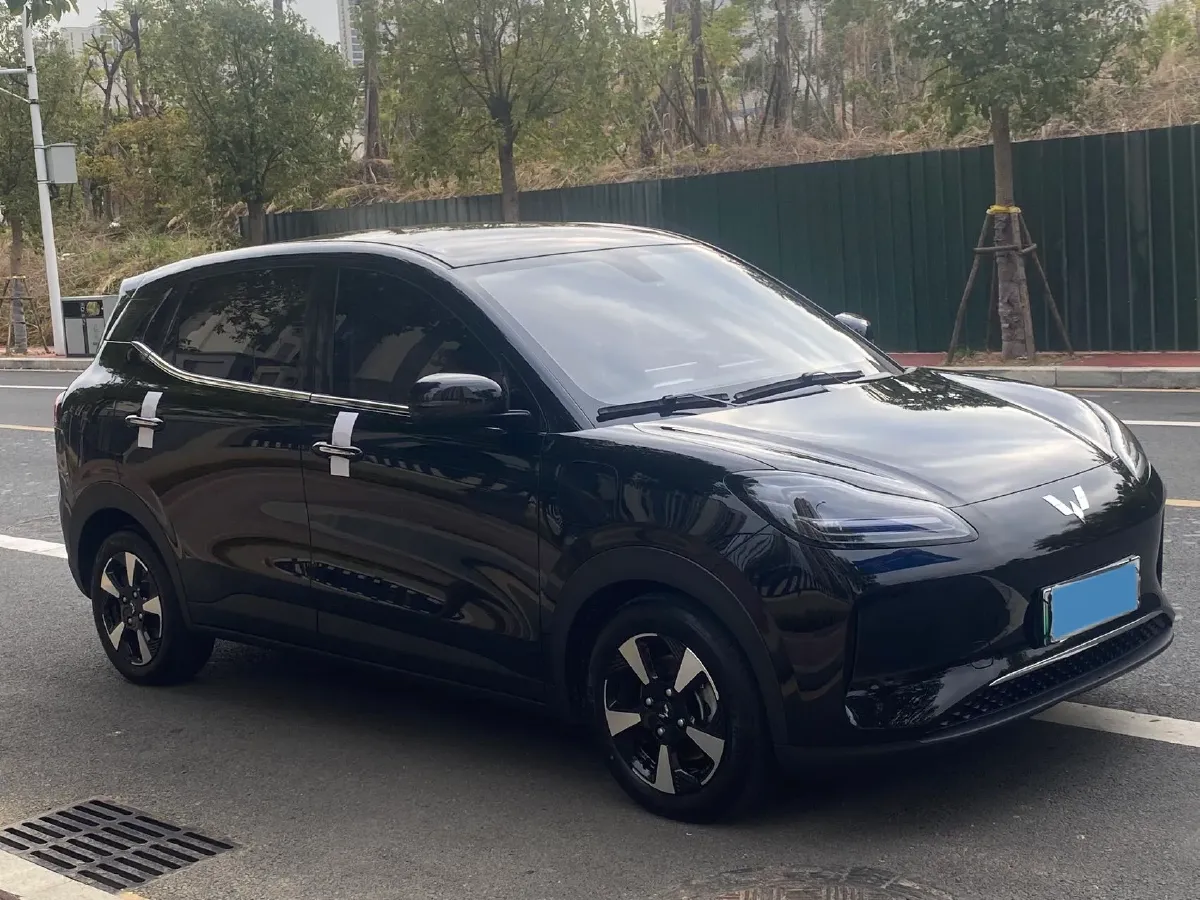 2024 WuLing BinGuoPLUS BEV 50.6KWH,autocango,china used car exporter,china ev exporter,chinese used car exporter,chinese used ev exporter