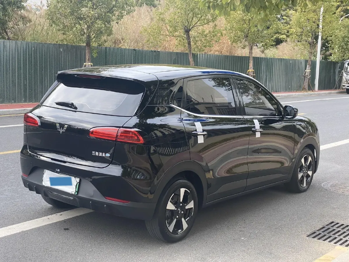 2024 WuLing BinGuoPLUS BEV 50.6KWH,autocango,china used car exporter,china ev exporter,chinese used car exporter,chinese used ev exporter