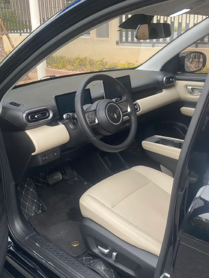 2024 WuLing BinGuoPLUS BEV 50.6KWH,autocango,china used car exporter,china ev exporter,chinese used car exporter,chinese used ev exporter