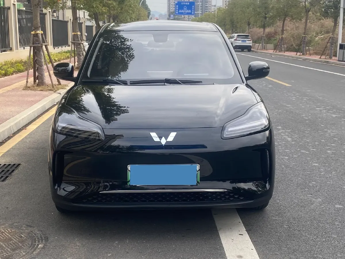 2024 WuLing BinGuoPLUS BEV 50.6KWH,autocango,china used car exporter,china ev exporter,chinese used car exporter,chinese used ev exporter