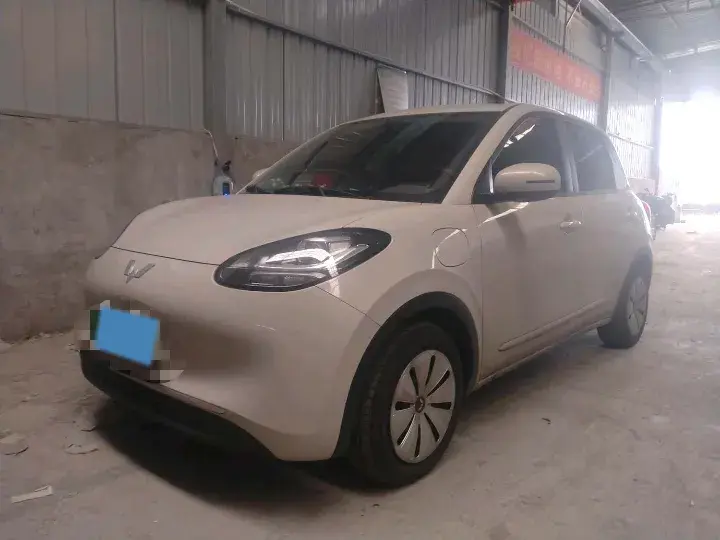 2023 WuLing BinGuo BEV 17.3KWH
