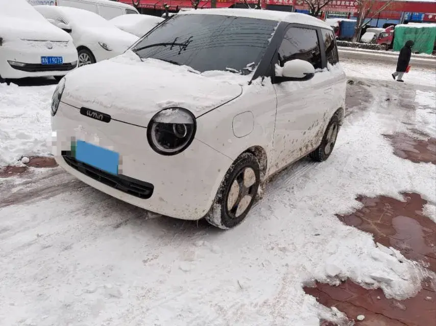 2024 ChangAn QiYuan Lumin BEV 13.41KWH