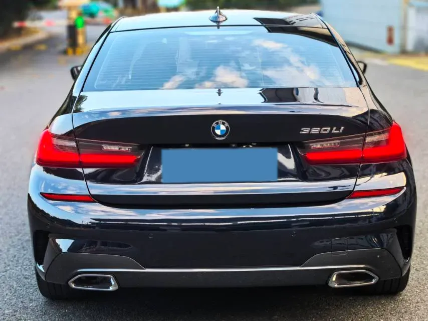 2020 BMW 3 Series 2.0T 156HP L4 8AT,autocango,china used car exporter,china ev exporter,chinese used car exporter,chinese used ev exporter