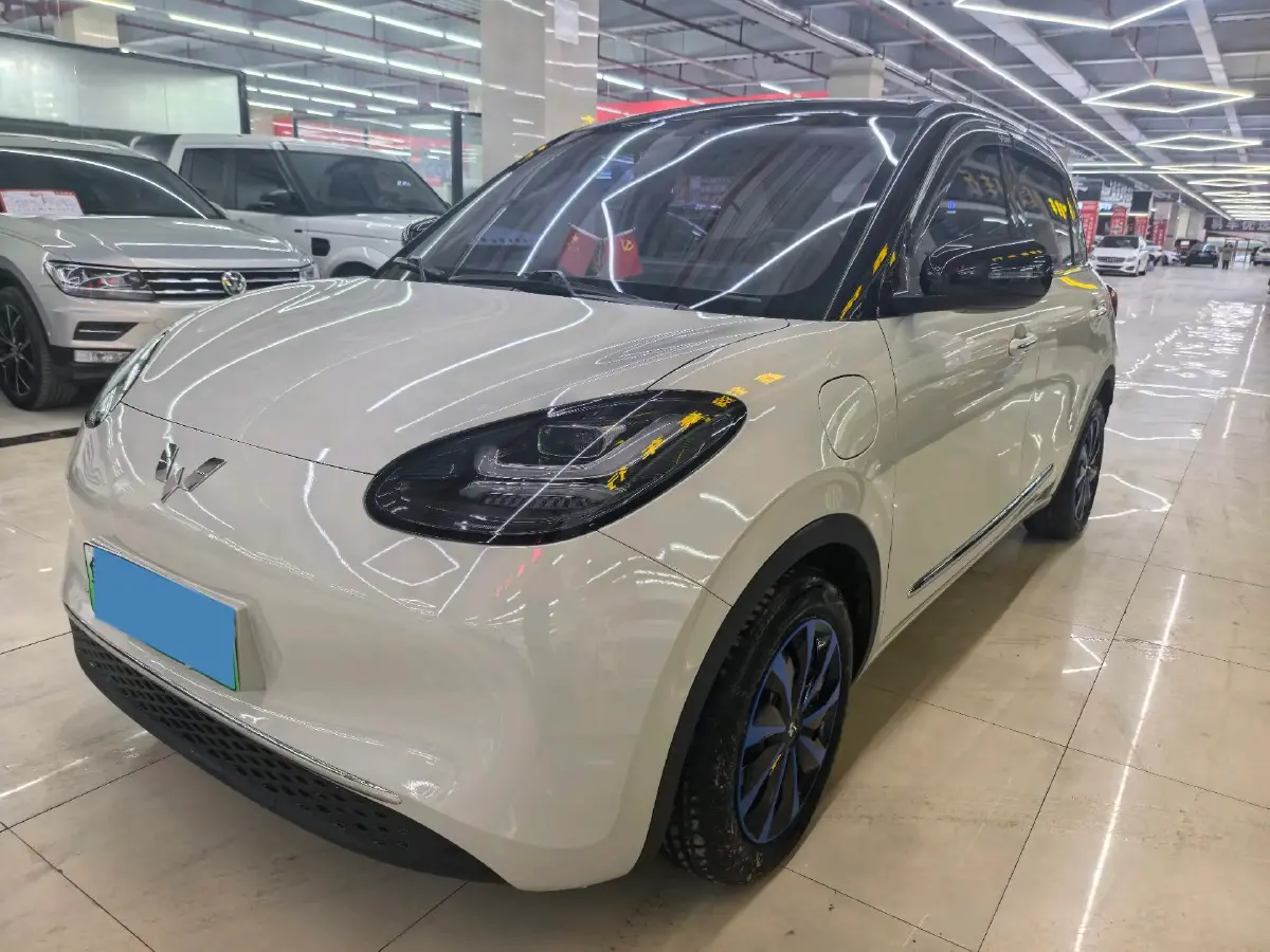 2024 WuLing BinGuo BEV 31.9KWH