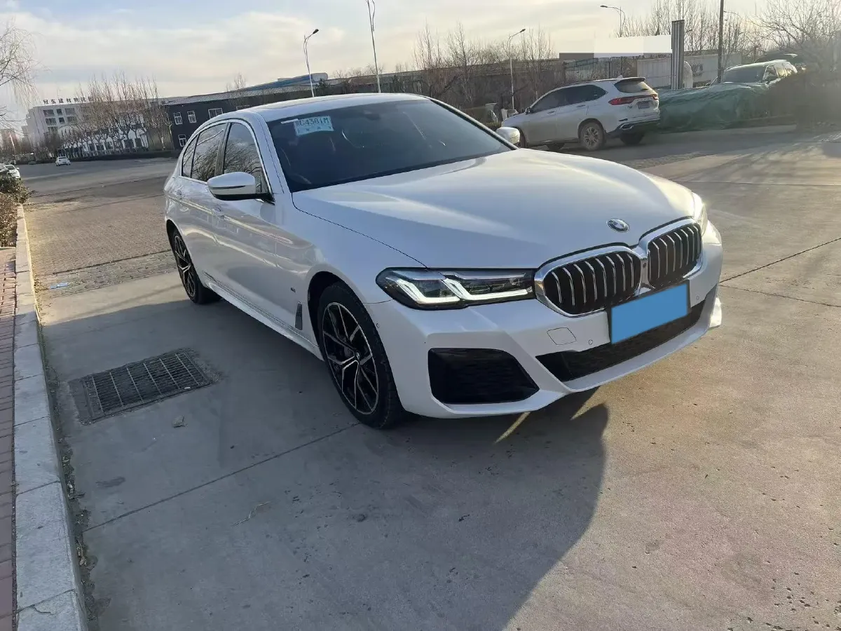 2022 BMW 5 Series 2.0T 252HP L4 8AT,autocango,china used car exporter,china ev exporter,chinese used car exporter,chinese used ev exporter