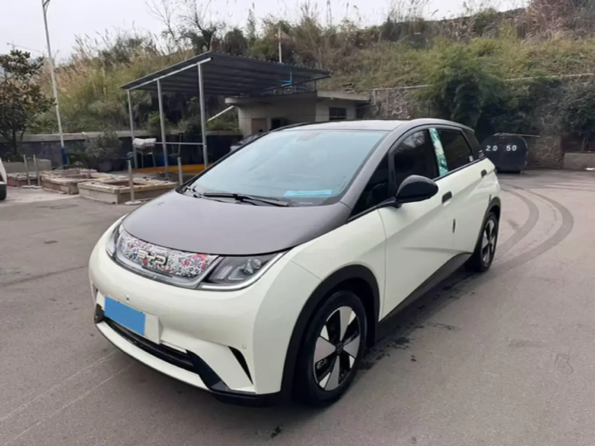 2023 BYD Dolphin BEV 44.928KWH