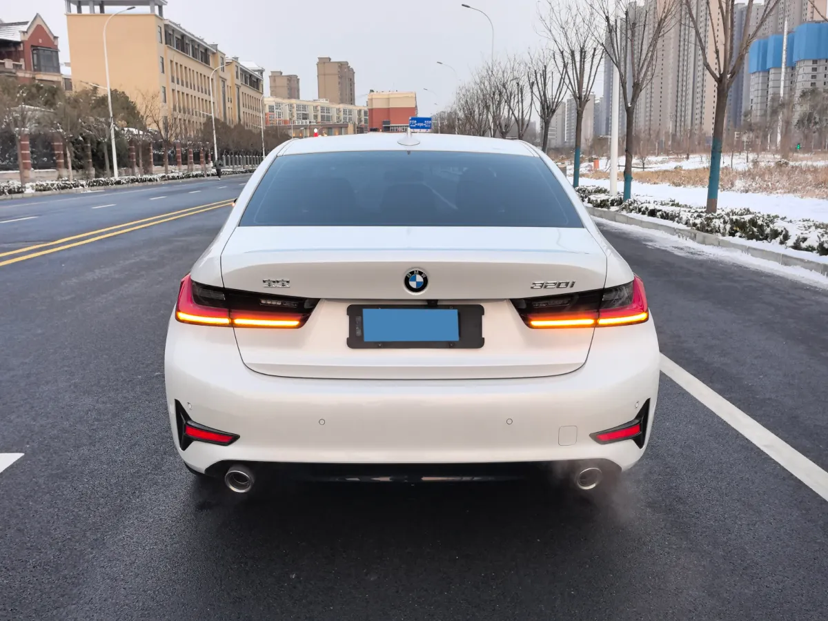 2020 BMW 3 Series 2.0T 156HP L4 8AT,autocango,china used car exporter,china ev exporter,chinese used car exporter,chinese used ev exporter