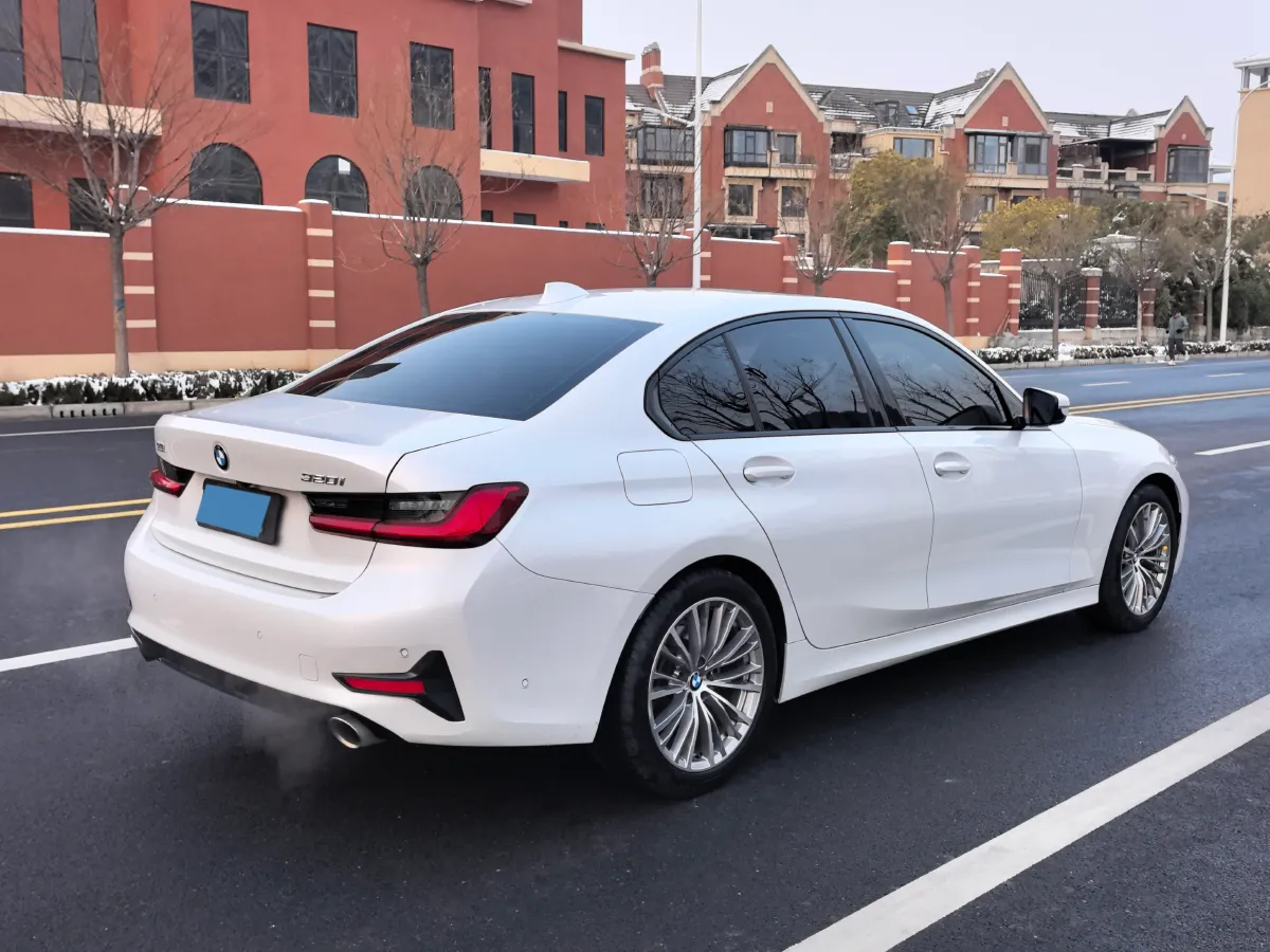 2020 BMW 3 Series 2.0T 156HP L4 8AT,autocango,china used car exporter,china ev exporter,chinese used car exporter,chinese used ev exporter