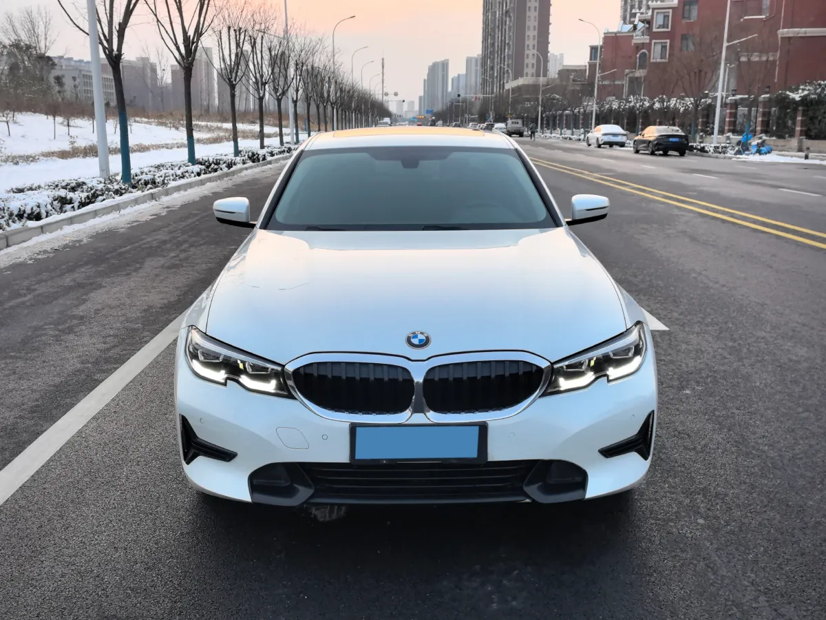 2020 BMW 3 Series 2.0T 156HP L4 8AT,autocango,china used car exporter,china ev exporter,chinese used car exporter,chinese used ev exporter