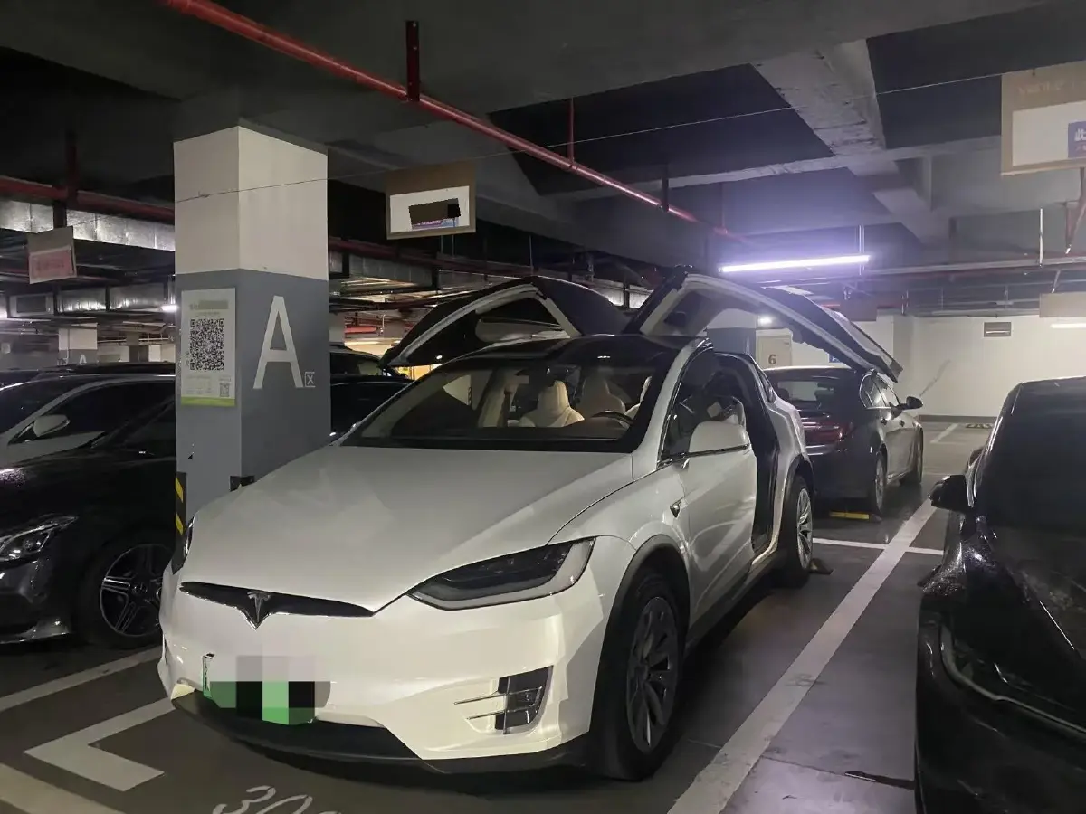 2017 Tesla Model X BEV 100KWH