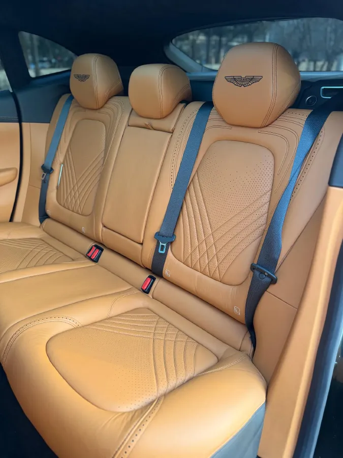 2021 Aston Martin DBX 4.0T 550HP V8 9AT,autocango,china used car exporter,china ev exporter,chinese used car exporter,chinese used ev exporter