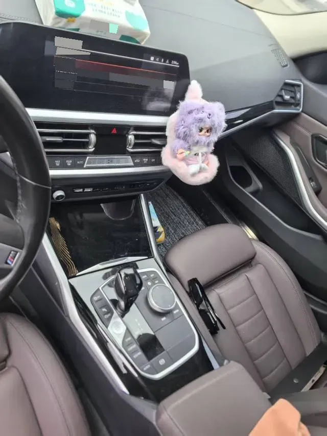 2020 BMW 3 Series 2.0T 156HP L4 8AT,autocango,china used car exporter,china ev exporter,chinese used car exporter,chinese used ev exporter