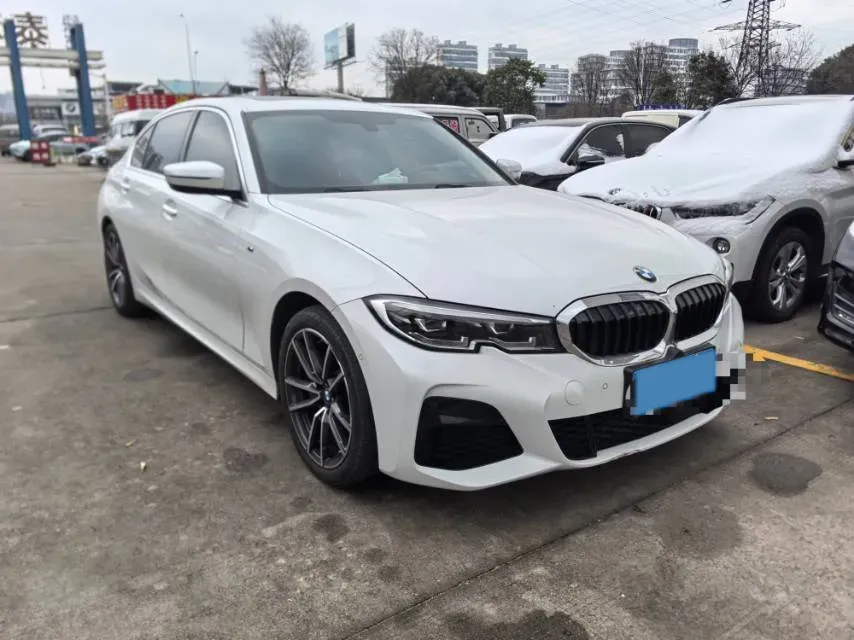 2020 BMW 3 Series 2.0T 156HP L4 8AT,autocango,china used car exporter,china ev exporter,chinese used car exporter,chinese used ev exporter