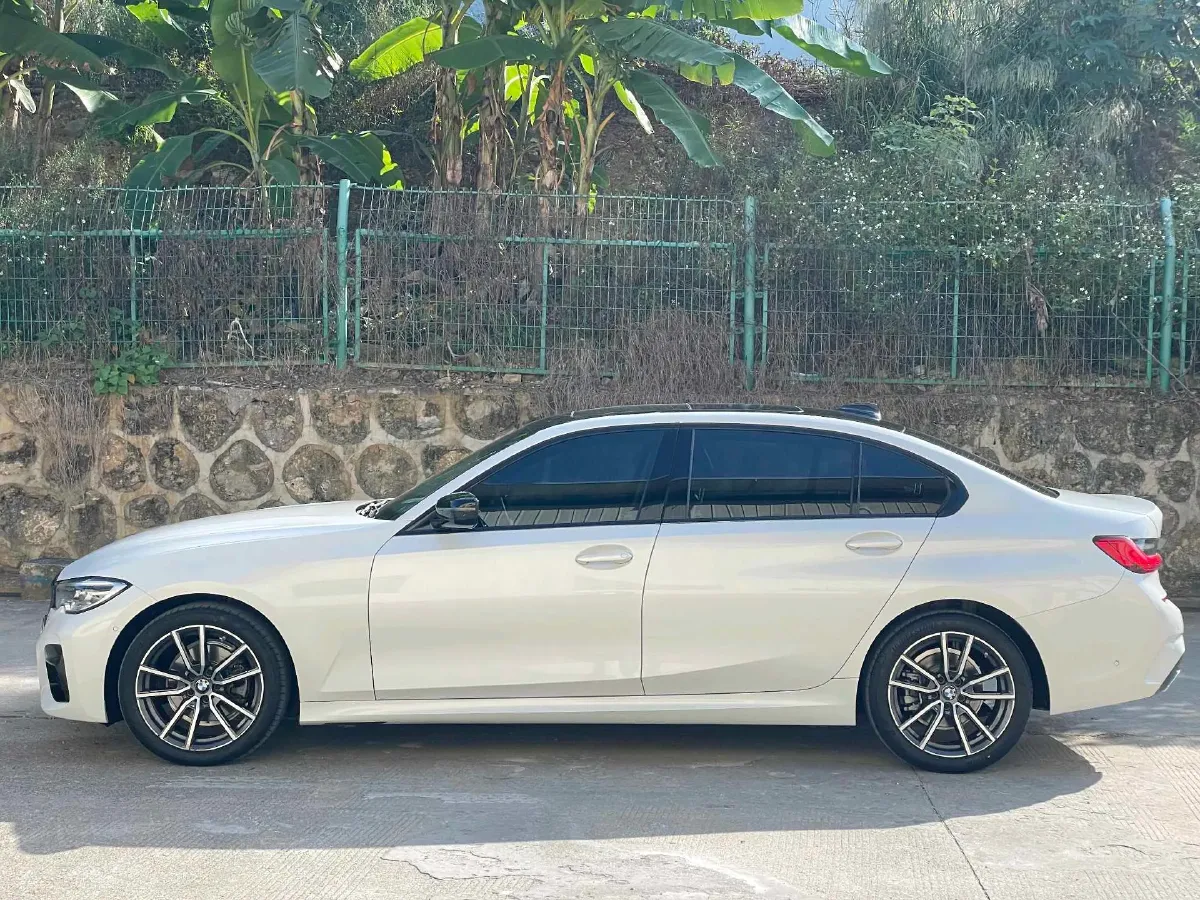 2020 BMW 3 Series 2.0T 184HP L4 8AT,autocango,china used car exporter,china ev exporter,chinese used car exporter,chinese used ev exporter