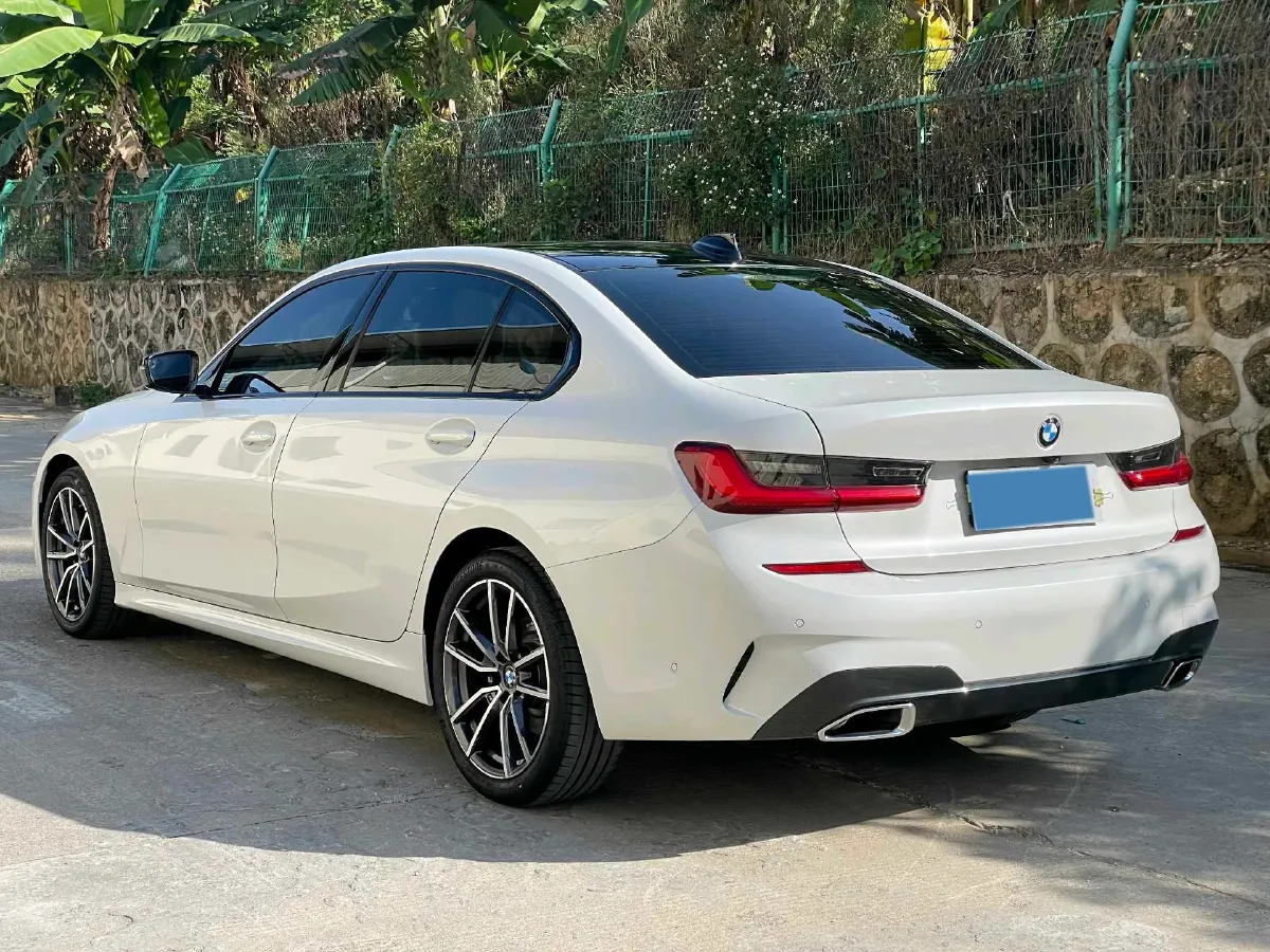 2020 BMW 3 Series 2.0T 184HP L4 8AT,autocango,china used car exporter,china ev exporter,chinese used car exporter,chinese used ev exporter