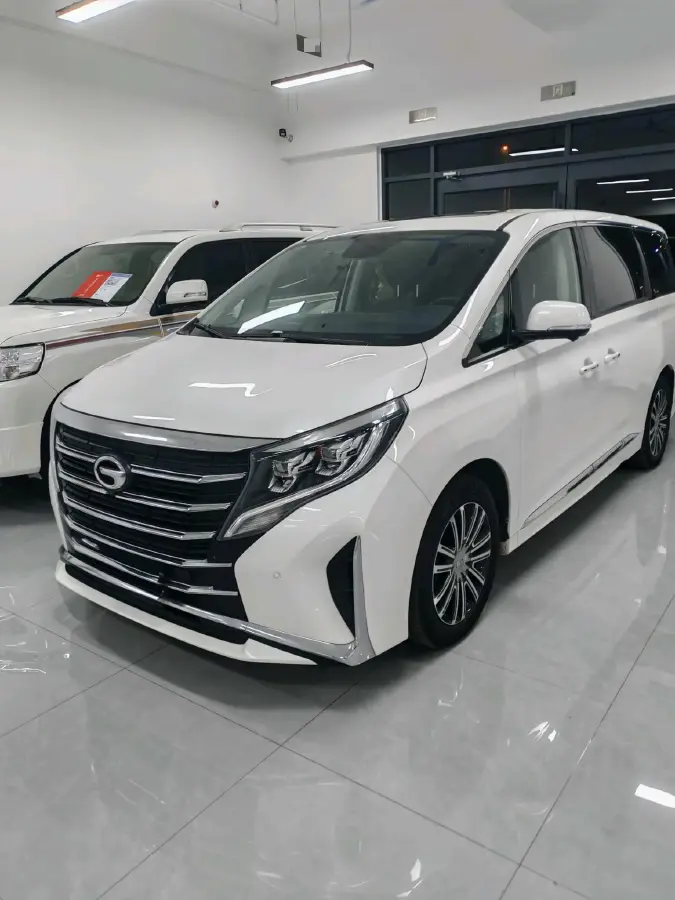 2021 GAC Trumpchi M8 2.0T 252HP L4 8AT