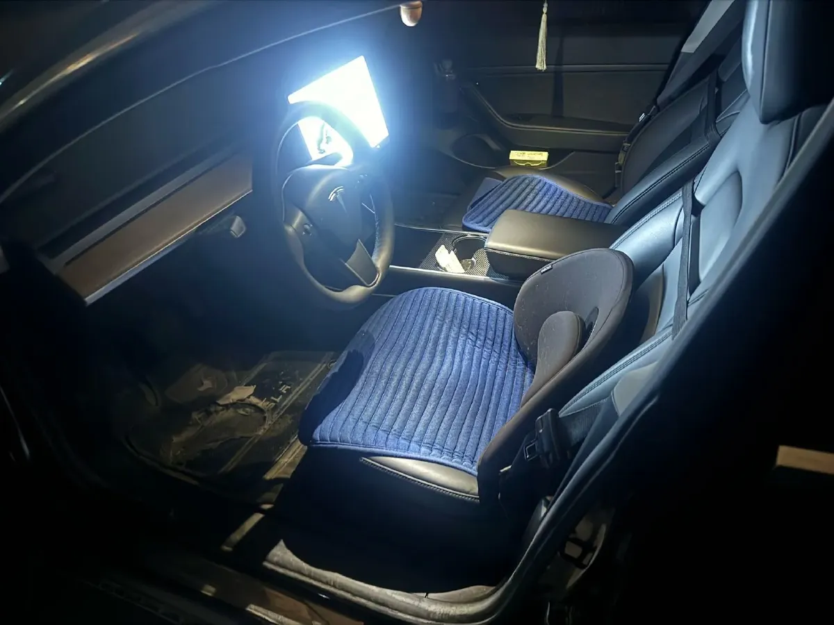 2020 Tesla Model 3 BEV 55KWH,autocango,china used car exporter,china ev exporter,chinese used car exporter,chinese used ev exporter