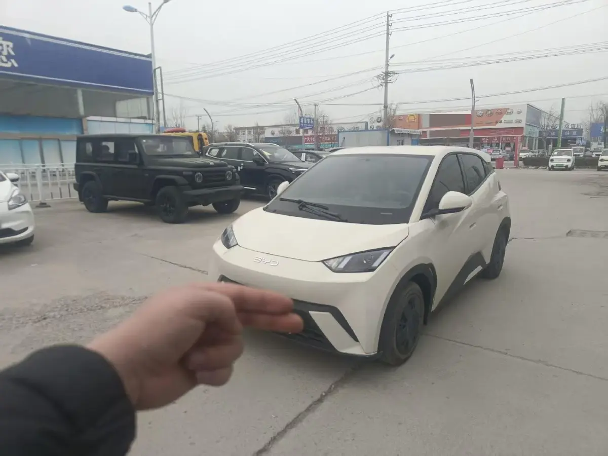 2024 BYD Seagull BEV 30.08KWH