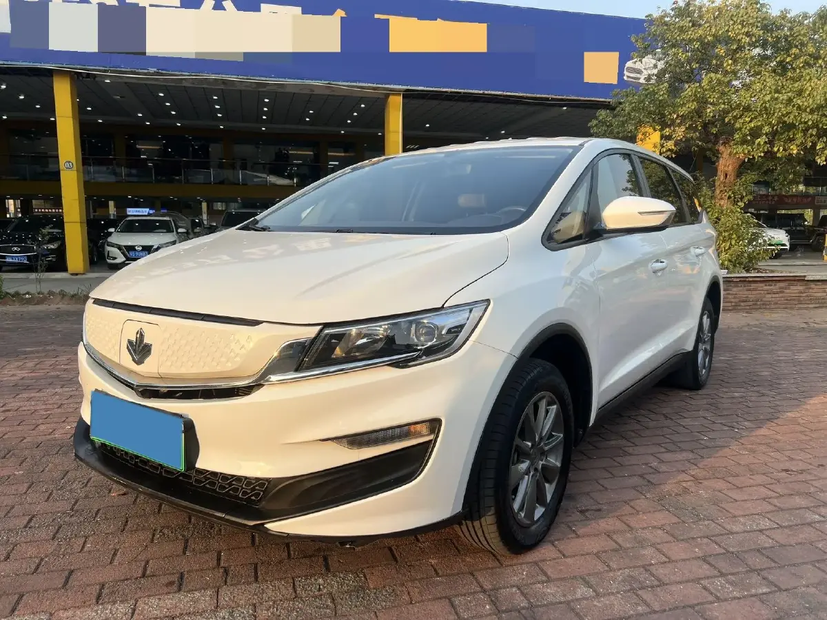 2021 Livan Maple 80v BEV 53KWH