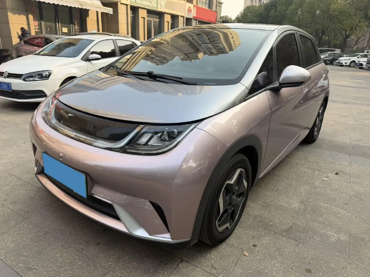 2021 BYD Yuan Pro BEV 50.1KWH