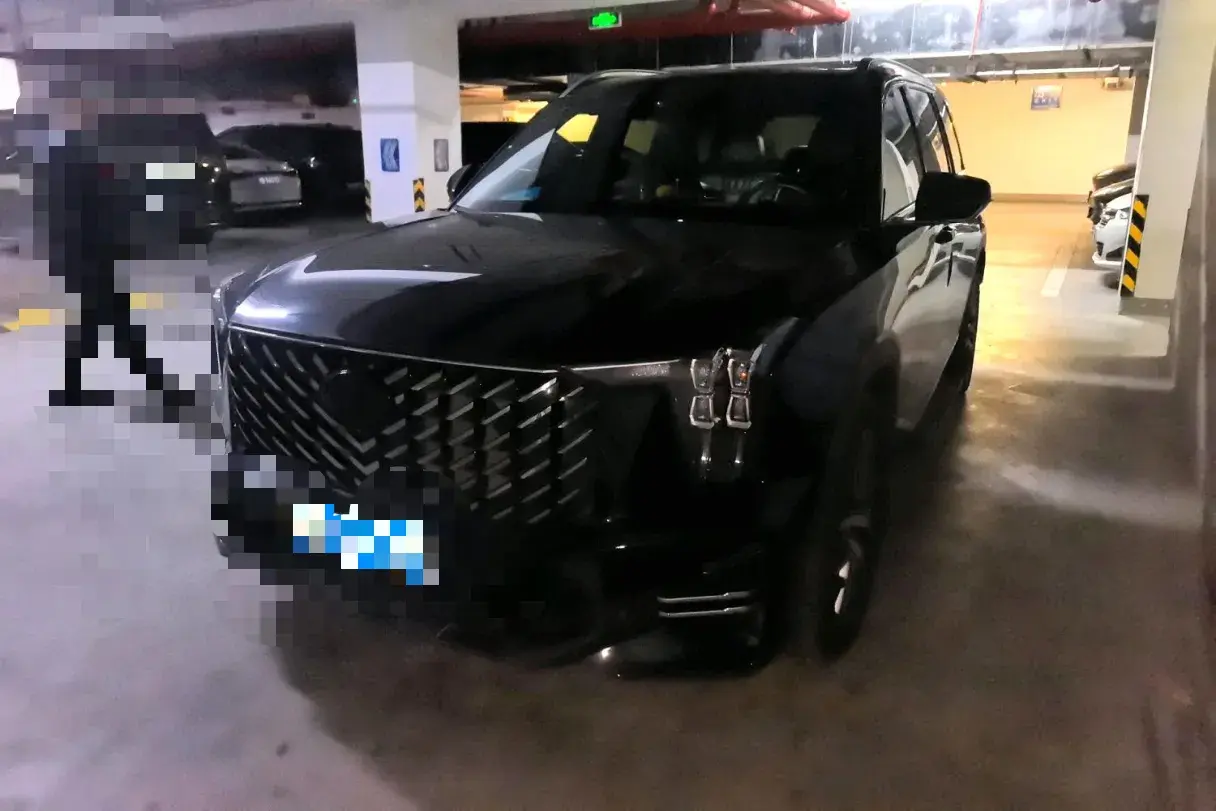 2022 GAC Trumpchi GS8 2.0T 252HP L4 8AT