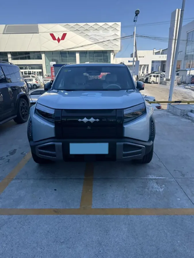 2025 FangChengBao Tai 3 BEV,autocango,china used car exporter,china ev exporter,chinese used car exporter,chinese used ev exporter