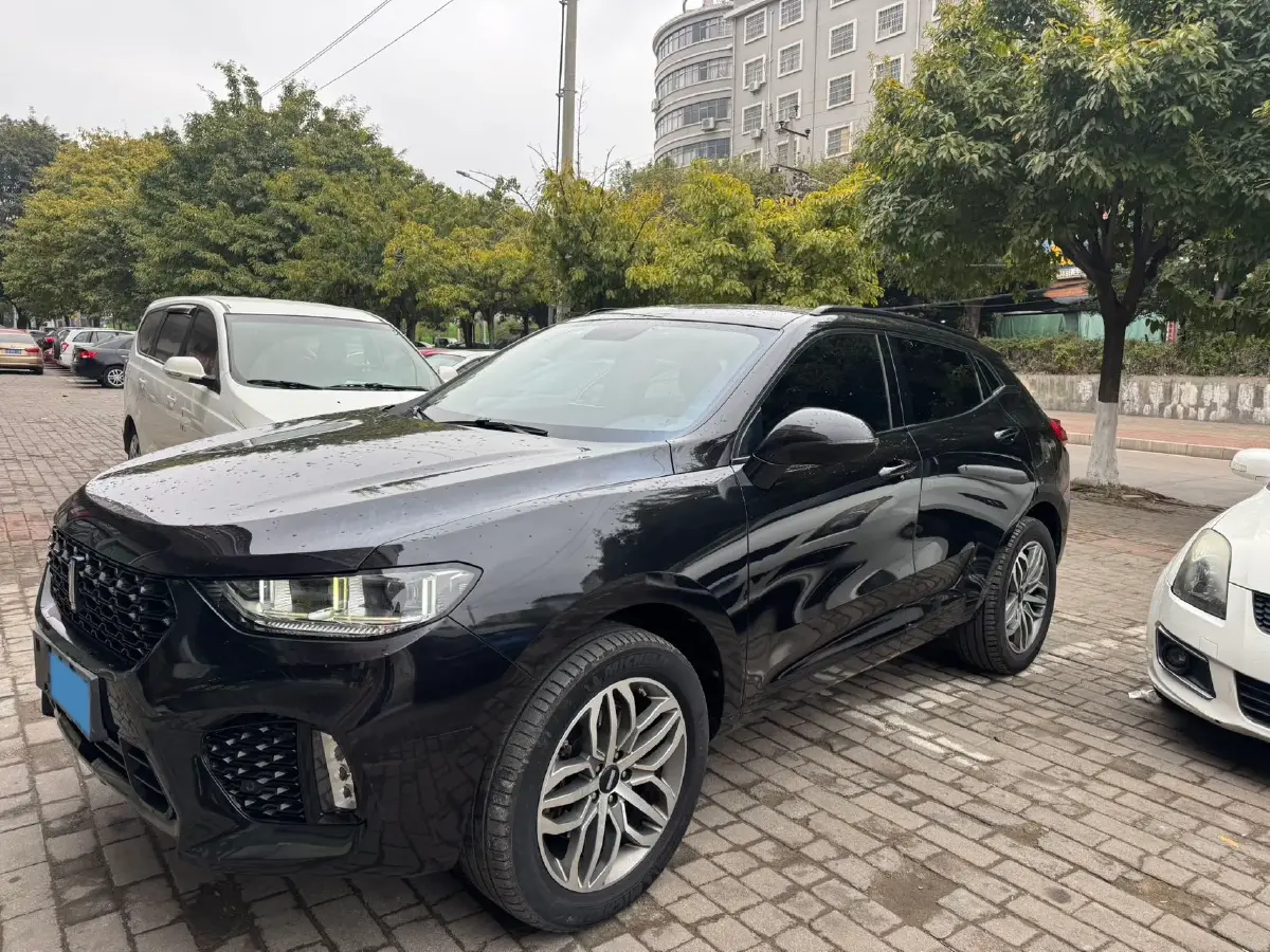2017 JMC YuHu 7 2.0T 205HP L4 6AT