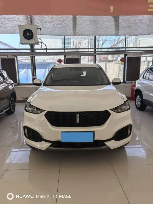 2018 WEY VV6 2.0T 197HP L4 7DCT,autocango,china used car exporter,china ev exporter,chinese used car exporter,chinese used ev exporter